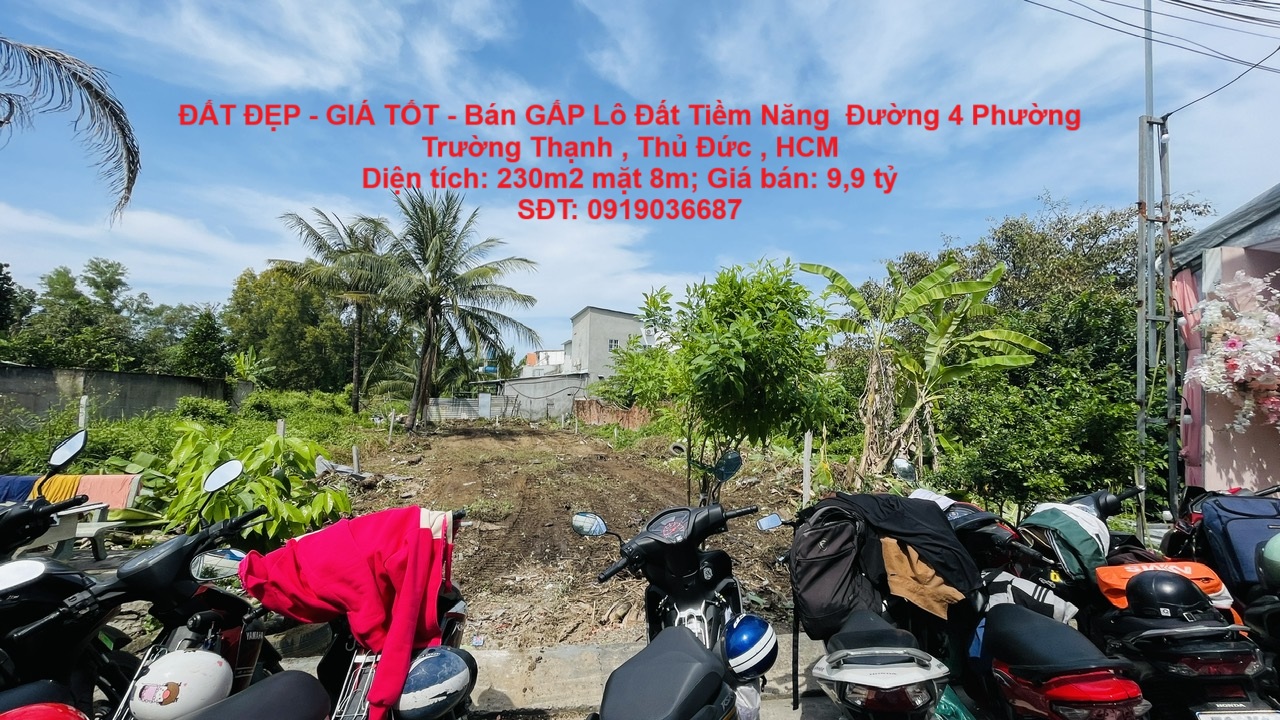 ĐẤT ĐẸP - GIÁ TỐT - Bán GẤP Lô Đất Tiềm Năng  Đường 4 Phường Trường Thạnh , Thủ Đức , HCM - Ảnh chính